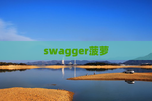 swagger菠萝