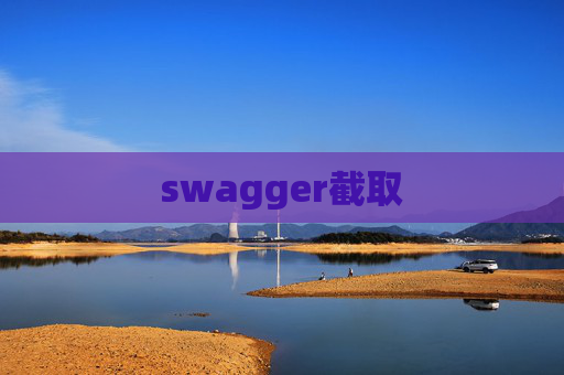 swagger截取